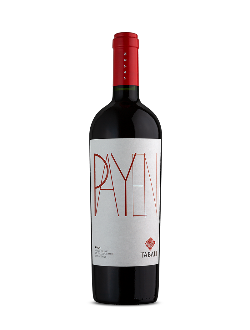 Tabali Payen - Elegancia y Mineralidad del Viñedo Talinay en el Valle de Limarí Tabali Payen - Elegancia y Mineralidad del Viñedo Talinay en el Valle de Limarí