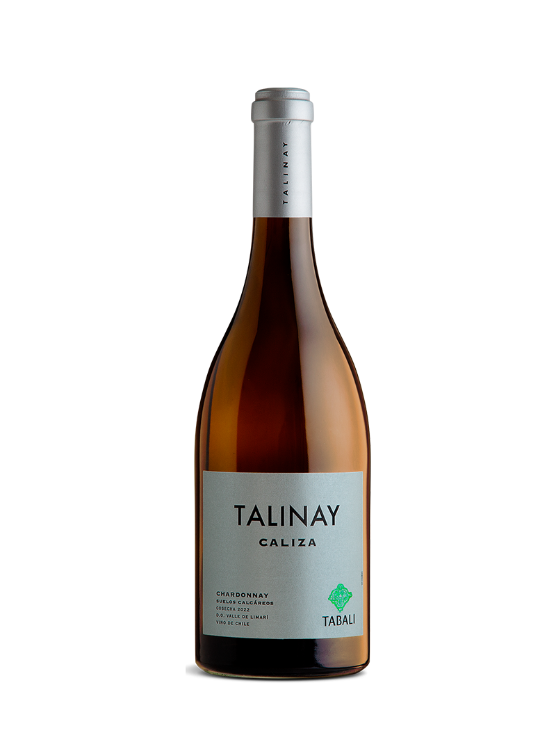 Tabali Talinay Caliza - Un Vino con Precisión, Mineralidad y Verticalidad